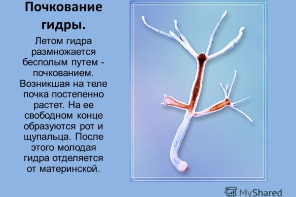 Кракен как войти